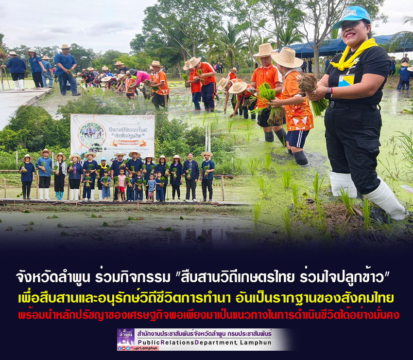 จังหวัดลำพูน ร่วมกิจกรรม "สืบสานวิถีเกษตรไทย ร่วมใจปลูกข้าว"